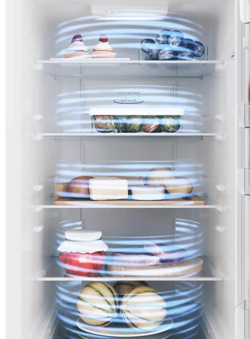 купить Холодильник с нижней морозильной камерой Candy CCE4T620EW в Кишинёве 