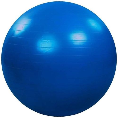 купить Мяч Arena мяч фитнес 65 см 826065BL синий в Кишинёве 