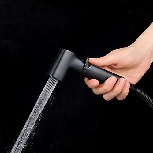 cumpără Baterie pentru bideu Frap F 022-16 negru, telefon dus pentru bide în Chișinău 