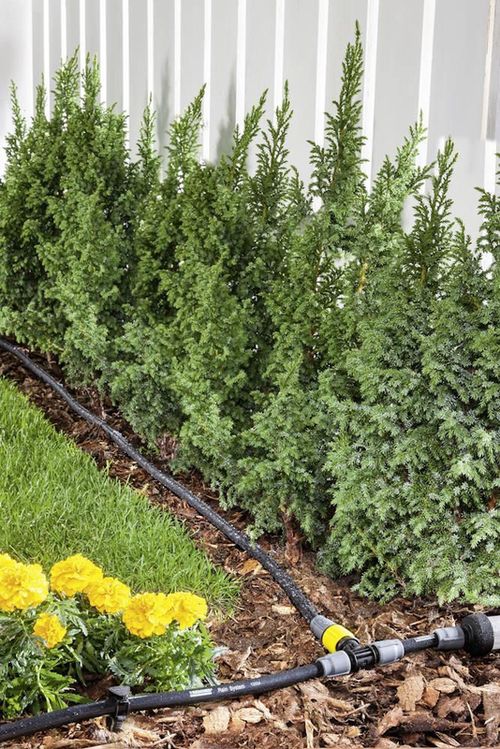 купить Шланг Karcher 2.645-231.0 Racord cu ajustarea debitului de apă (Rain System) в Кишинёве 