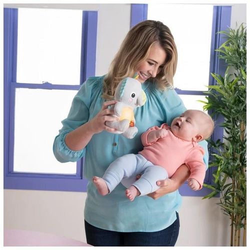 cumpără Jucărie de pluș Bright Starts 12498 Jucarie interactiva Hug a Bye Baby Elephant în Chișinău 