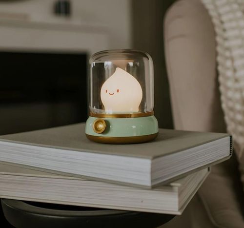 купить Ночной светильник Mary’s MW61048 LED Green Flame в Кишинёве 