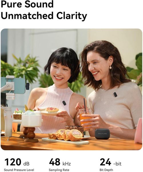 cumpără Microfon Hollyland LARK A1 Mini DUO USB-C (Black) în Chișinău 