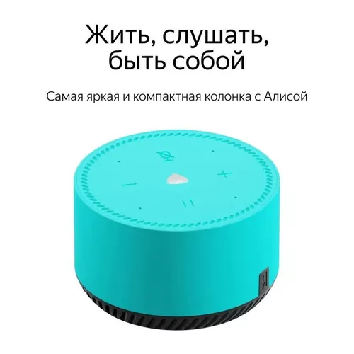 cumpără Boxă portativă Bluetooth Yandex YNDX-00025G Alisa Station Lite Green în Chișinău 