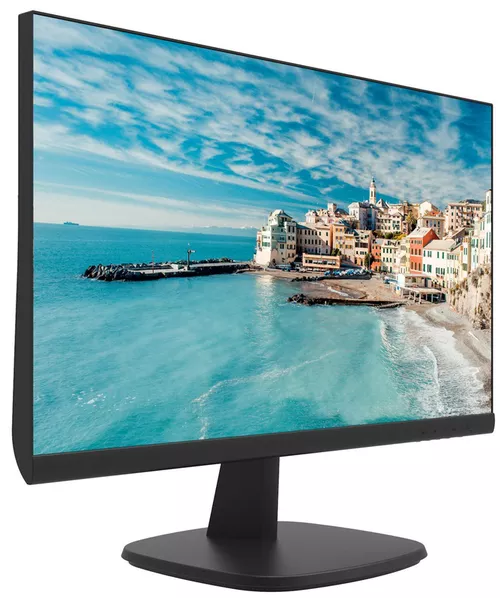 купить Монитор Hikvision DS-D5024FN в Кишинёве 