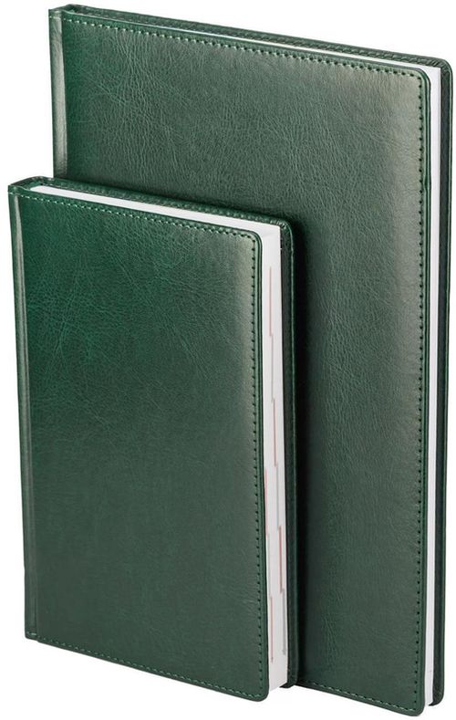 купить Блокнот miscellaneous E2028-60 Agenda datata CLASSIC 2026 A4, 72 foi, verde в Кишинёве 