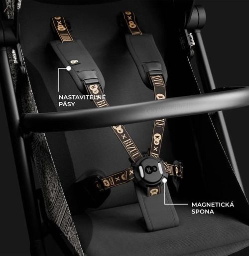 купить Детская коляска KinderKraft KSPIL002BLKBI00 (Cabin) Pilot 2 Lunar Black в Кишинёве 