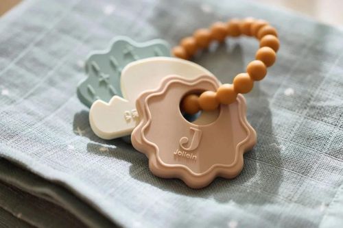 купить Игрушка-прорезыватель Jollein 101-007-67104 Inel gingival din silicon Lovely Birds Keychain в Кишинёве 