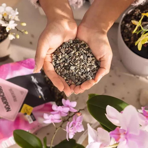 cumpără Substrat pentru plante Lechuza Orchidpon, 3l în Chișinău 