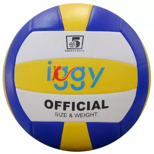 купить Мяч Iggy IGVB-PRO minge volei в Кишинёве 