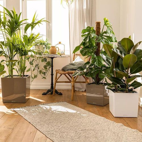 купить Цветочный горшок Lechuza Cube Premium 50, White в Кишинёве 