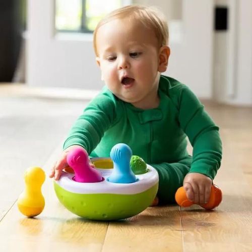 cumpără Jucărie miscellaneous TFA248 Sorter Fat Brain, Pini colorați în Chișinău 