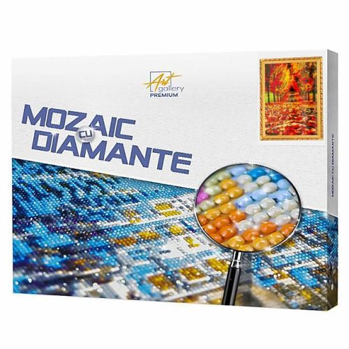 cumpără Tablou pe numere Art Gallery GA80314 Mozaic cu diamante 40x50cm Drumul tomnatic în Chișinău 