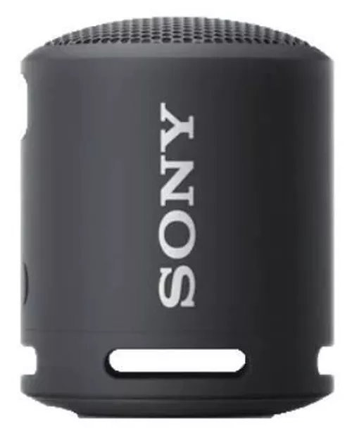 cumpără Boxă portativă Bluetooth Sony SRSXB13B în Chișinău 