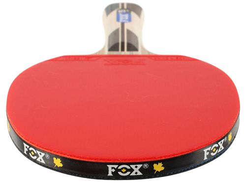 cumpără Articol de tenis miscellaneous 1293 Paleta tenis de masa cu husa FOX-5 STAR în Chișinău 