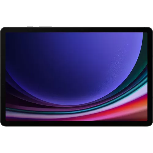 cumpără Tabletă PC Samsung X710/128 Galaxy Tab S9 wifi în Chișinău 