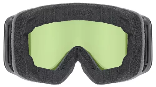 cumpără Ochelari de protecție Uvex PWDR FM Black Matt Dl/Blue-Clear (S5508504030) în Chișinău 