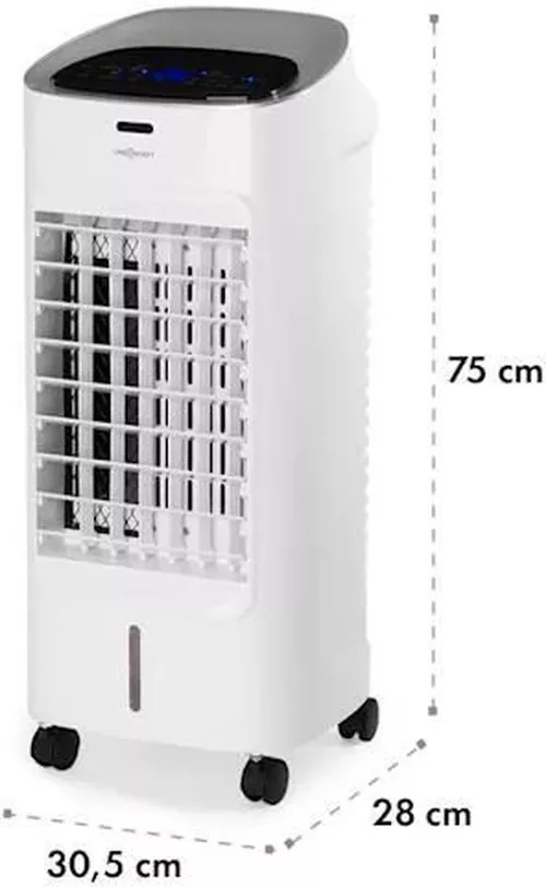 купить Охладитель воздуха OneConcept Coolster White в Кишинёве 