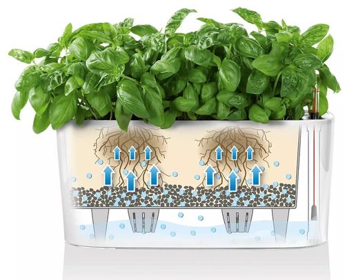 купить Цветочный горшок Lechuza Delta Premium 10, Charcoal в Кишинёве 