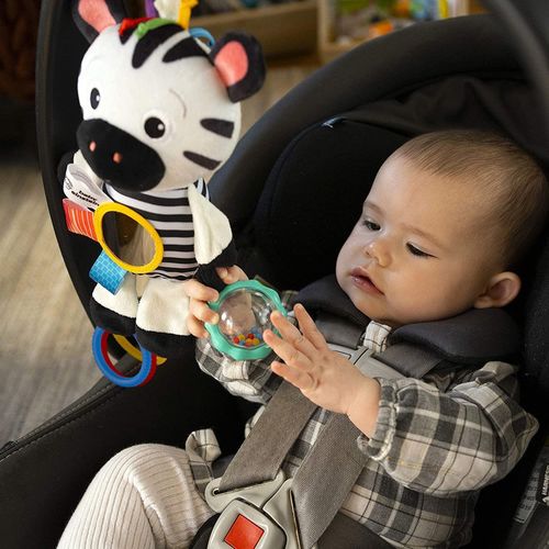 купить Мягкая игрушка Baby Einstein 12793 Zebra zambareata в Кишинёве 