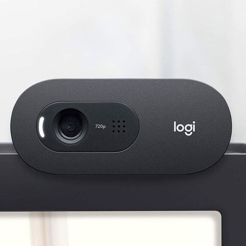 купить Веб-камера Logitech C505 HD Webcam, HD 720p 30fps video, Diagonal Field of View 60 degrees, RightLight 2, Noise Cancelling Mic omni-directional long range pickup, 960-001364 в Кишинёве 