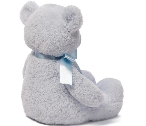 cumpără Jucărie de pluș Baby Gund 6048628 My 1st Teddy Blue 45cm în Chișinău 