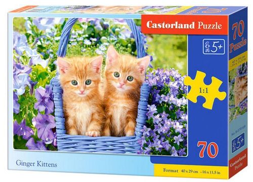 купить Головоломка Castorland Puzzle B-070169 Puzzle Midi 70 в Кишинёве 