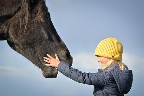 cumpără Aparat foto DSLR Nikon Z fc + 16-50mm + 50-250mm Double Kit în Chișinău 