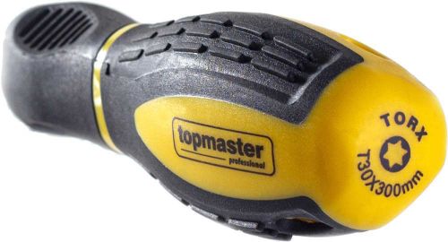 купить Отвёртка Topmaster 221702 Отвёртка TORX T25 6х300 мм S2 в Кишинёве 
