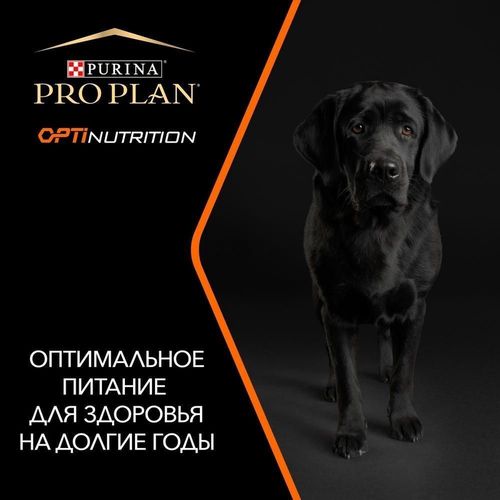 купить Корм для питомцев Purina Pro Plan Adult Medium Dog Optibalance (pui)18kg (1) в Кишинёве 