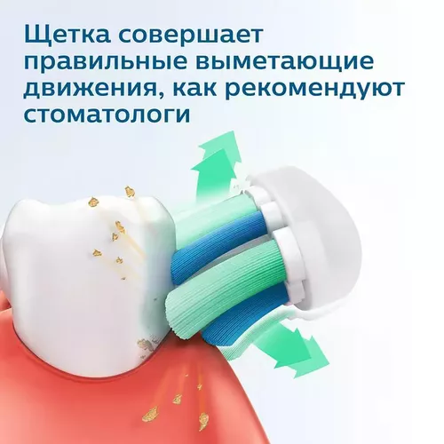купить Щетка зубная электрическая Philips HX3651/11 Sonicare seria 2100 в Кишинёве 