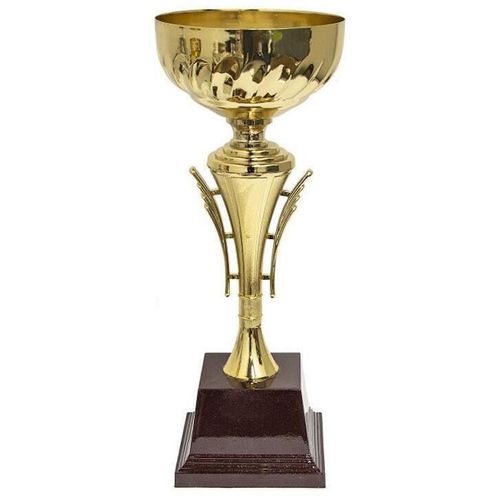 cumpără Cupă de premiere miscellaneous 11556 h-40 cm, art. 911A în Chișinău 