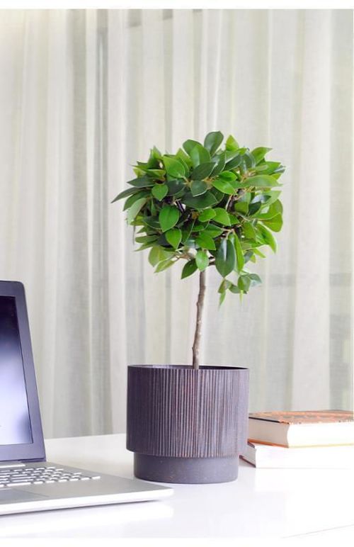 купить Цветочный горшок Aleana 128029 Oslo cu insertie d20 cm, granite в Кишинёве 