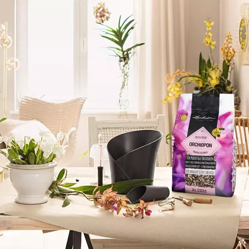 cumpără Substrat pentru plante Lechuza Orchidpon, 3l în Chișinău 
