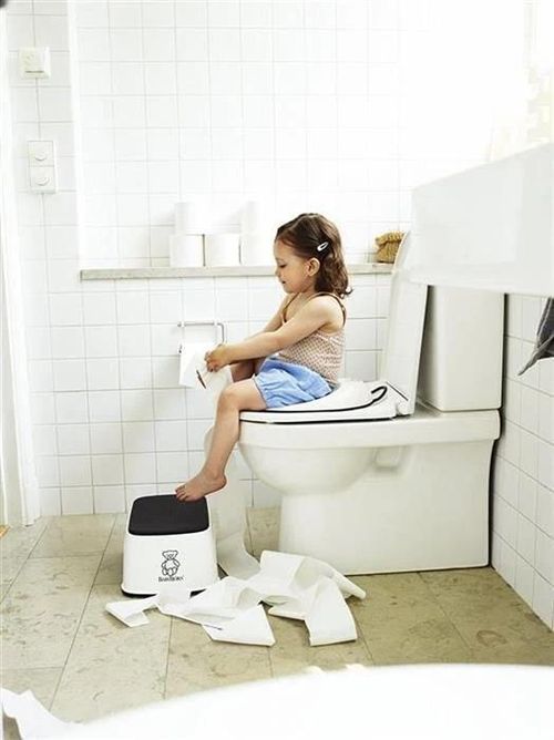 купить Детский горшок BabyBjorn 058025A Reductor pentru toaleta Toilet Training Seat White в Кишинёве 