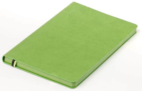 купить Блокнот Akklas Ежедневник недатир. Soft 13x21см, 96 листов, зеленый в Кишинёве 
