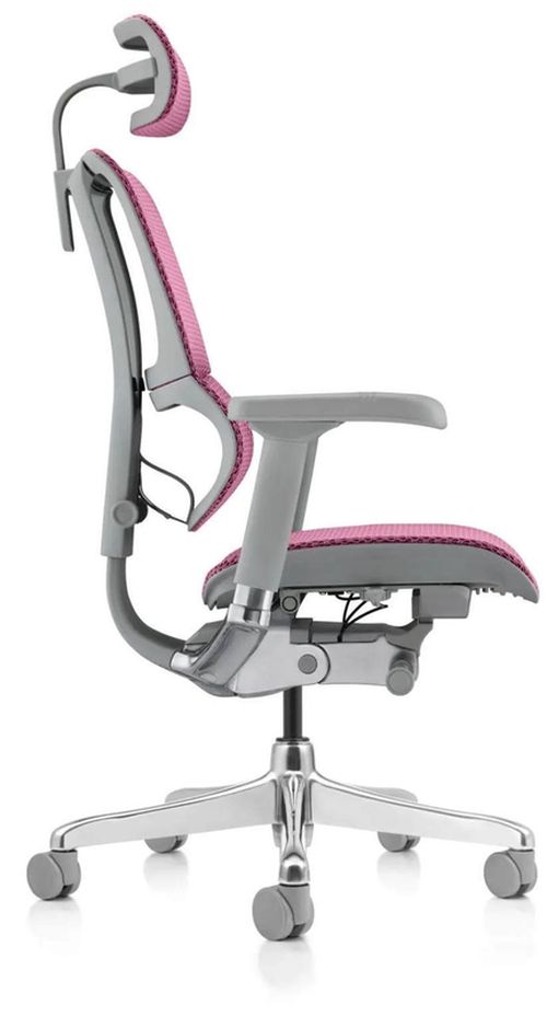 купить Офисное кресло ART Mirus IOO Elite 2 Pink T-168-B5 IOOE2-AG-HAM-5D-L в Кишинёве 
