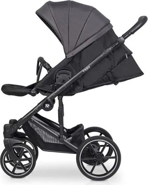 купить Детская коляска Riko Carucior 2in1 Trex antracite в Кишинёве 