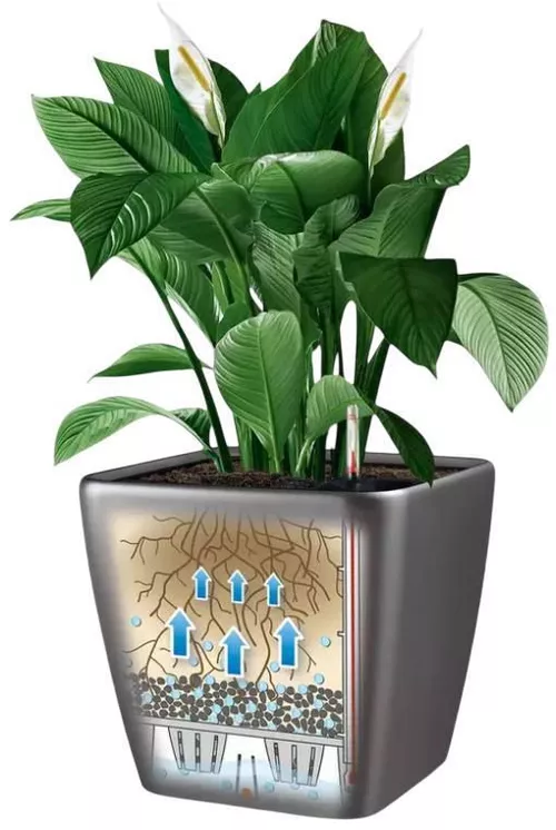 купить Цветочный горшок Lechuza Quadro Premium 35 LS, Shiny Taupe в Кишинёве 