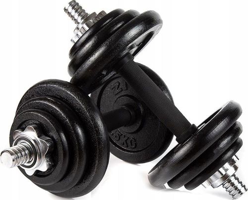 купить Гантель Zipro Iron Dumbbell Set 2x10kg в Кишинёве 