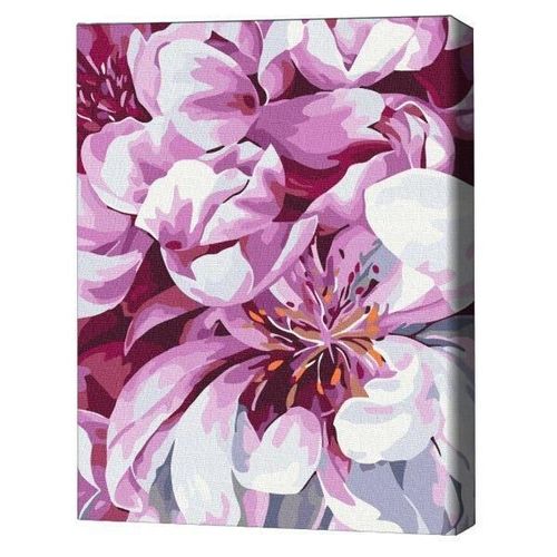 купить Картина по номерам BrushMe RBS51712FC 30x40сm (fără cutie) Floare fotografiată în stil macro в Кишинёве 