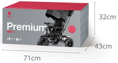 cumpără Bicicletă-cărucior Qplay Premium Black în Chișinău 
