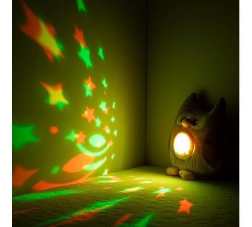 cumpără Jucărie de pluș Chipolino Little Owl PIL02513LOWL (проектор муз) în Chișinău 