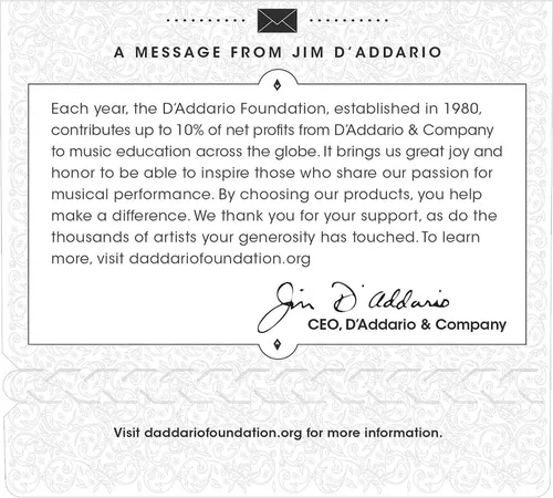 купить Струна для музыкального инструмента D’Addario EJ45 в Кишинёве 