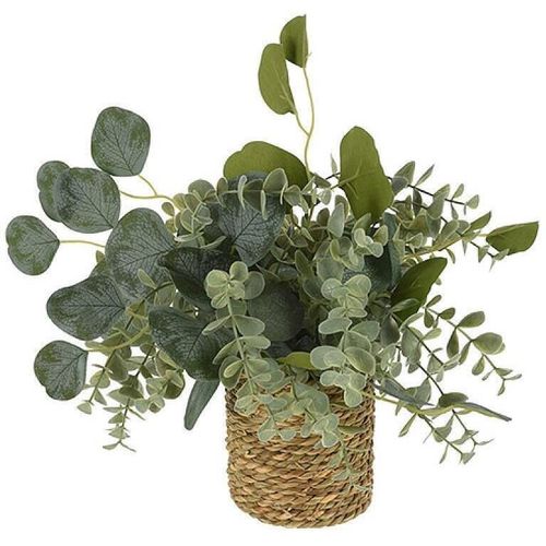 cumpără Plantă artificială Promstore 49445 Planta artificiala de eucalipt 30cm, in ghiveci în Chișinău 
