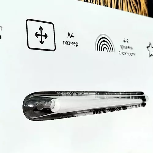 cumpără Set de creație Три Совы RL345917 Gravură  A4 cu efect auriu "Leu" în Chișinău 