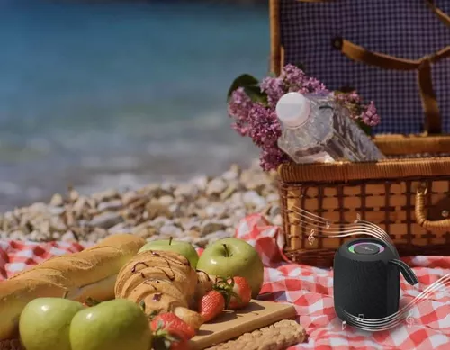 cumpără Boxă portativă Bluetooth Gembird SPK-BT-LED-05-BK în Chișinău 
