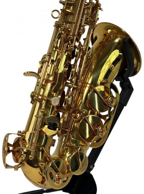 cumpără Instrument muzical de suflat Clifton Mib Saxofon Alto în Chișinău 