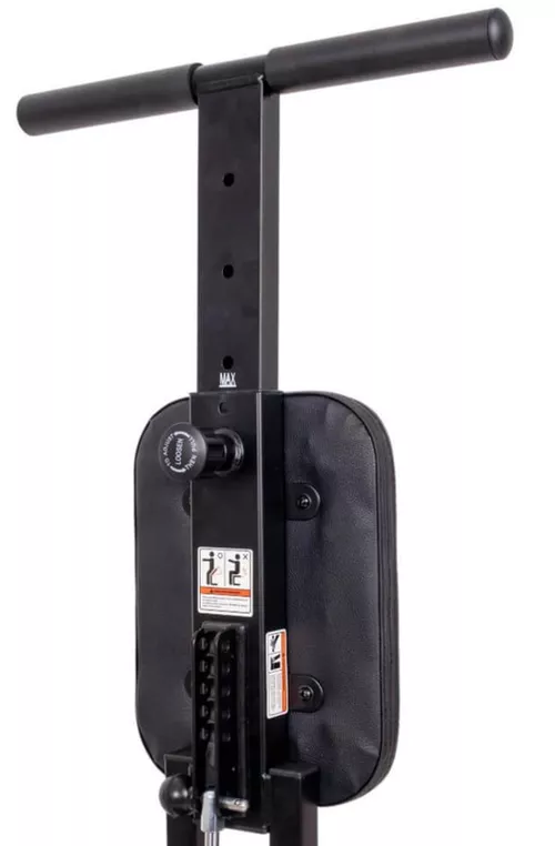 купить Степпер inSPORTline 13561 Stepper (110kg) 30769 3-in-1 Astario в Кишинёве 