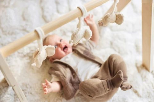 cumpără Jucărie cu pandantiv Jollein 108-001-68110 Set de jucarii pentru Babygym Elephant Tales în Chișinău 